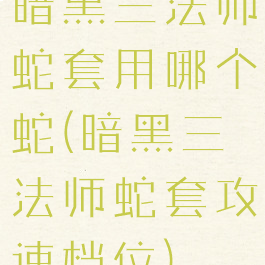暗黑三法师蛇套用哪个蛇(暗黑三法师蛇套攻速档位)