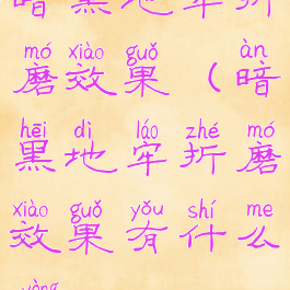 暗黑地牢折磨效果(暗黑地牢折磨效果有什么用)