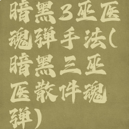 暗黑3巫医魂弹手法(暗黑三巫医散件魂弹)