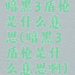 暗黑3盾枪是什么意思(暗黑3盾枪是什么意思啊)
