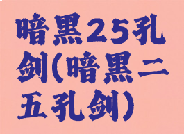 暗黑25孔剑(暗黑二五孔剑)
