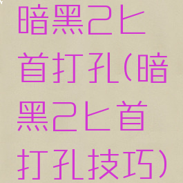 暗黑2匕首打孔(暗黑2匕首打孔技巧)