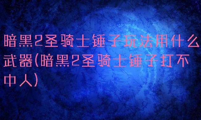 暗黑2圣骑士锤子玩法用什么武器(暗黑2圣骑士锤子打不中人)