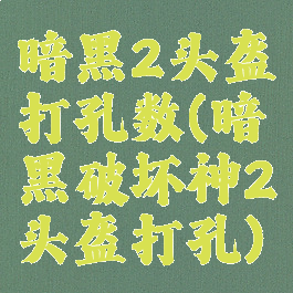 暗黑2头盔打孔数(暗黑破坏神2头盔打孔)