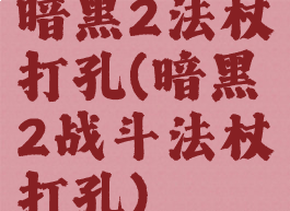 暗黑2法杖打孔(暗黑2战斗法杖打孔)