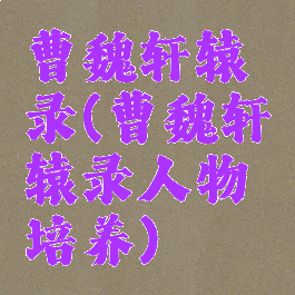曹魏轩辕录(曹魏轩辕录人物培养)