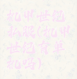 机甲世纪私服(机甲世纪有单机吗)