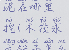 木筏求生污泥在哪里挖(木筏求生铲子怎么取污泥)