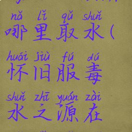 毒水之源在哪里取水(怀旧服毒水之源在哪里取水)