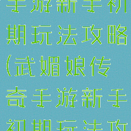 武媚娘传奇手游新手初期玩法攻略(武媚娘传奇手游新手初期玩法攻略大全)