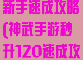 梦幻神武手游新手速成攻略(神武手游秒升120速成攻略)