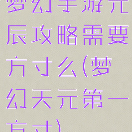 梦幻手游元辰攻略需要方寸么(梦幻天元第一方寸)