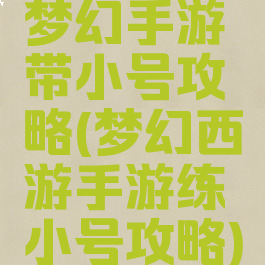 梦幻手游带小号攻略(梦幻西游手游练小号攻略)