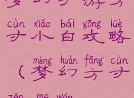 梦幻手游方寸小白攻略(梦幻方寸怎么玩)