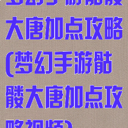 梦幻手游骷髅大唐加点攻略(梦幻手游骷髅大唐加点攻略视频)