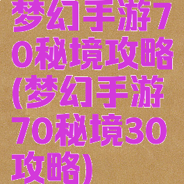 梦幻手游70秘境攻略(梦幻手游70秘境30攻略)