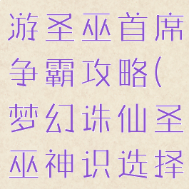 梦幻诛仙手游圣巫首席争霸攻略(梦幻诛仙圣巫神识选择)