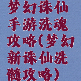 梦幻诛仙手游洗魂攻略(梦幻新诛仙洗髓攻略)
