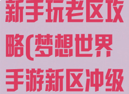 梦想世界手游新手玩老区攻略(梦想世界手游新区冲级攻略)