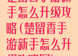楚留香手游新手怎么升级攻略(楚留香手游新手怎么升级攻略图)