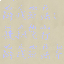 模拟飞行游戏玩法(模拟飞行游戏玩法介绍)