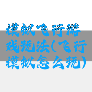 模拟飞行游戏玩法(飞行模拟怎么玩)