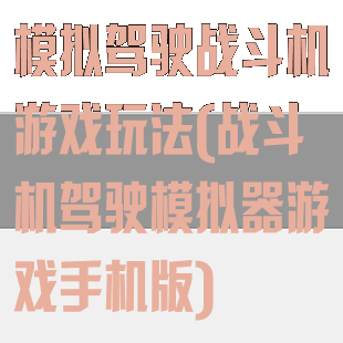 模拟驾驶战斗机游戏玩法(战斗机驾驶模拟器游戏手机版)