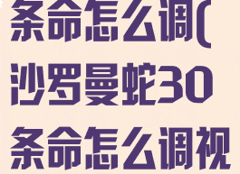 沙罗曼蛇30条命怎么调(沙罗曼蛇30条命怎么调视频)