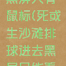 沙滩排球黑屏只有鼠标(死或生沙滩排球进去黑屏只能看见鼠标)