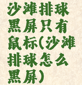 沙滩排球黑屏只有鼠标(沙滩排球怎么黑屏)