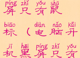 沙滩排球黑屏只有鼠标(电脑开机黑屏只有鼠标)