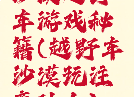 沙漠越野车游戏秘籍(越野车沙漠玩注意什么)