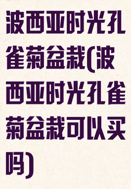波西亚时光孔雀菊盆栽(波西亚时光孔雀菊盆栽可以买吗)