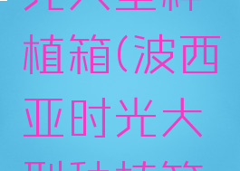 波西亚时光大型种植箱(波西亚时光大型种植箱种什么)