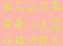 流星蝴蝶剑手游的新手攻略(流星蝴蝶剑玩法攻略)