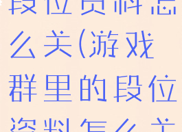 游戏群里的段位资料怎么关(游戏群里的段位资料怎么关掉)