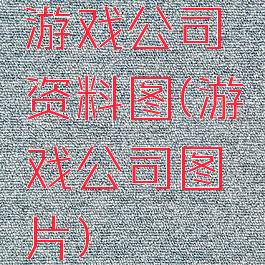 游戏公司资料图(游戏公司图片)