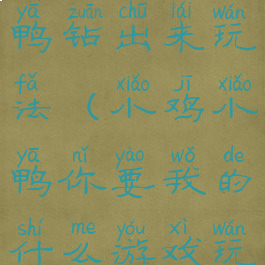 游戏小鸡小鸭钻出来玩法(小鸡小鸭你要我的什么游戏玩法)