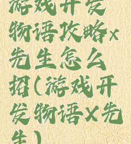 游戏开发物语攻略x先生怎么招(游戏开发物语X先生)