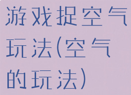 游戏捉空气玩法(空气的玩法)