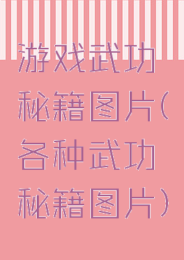 游戏武功秘籍图片(各种武功秘籍图片)