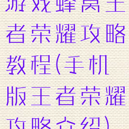 游戏蜂窝王者荣耀攻略教程(手机版王者荣耀攻略介绍)