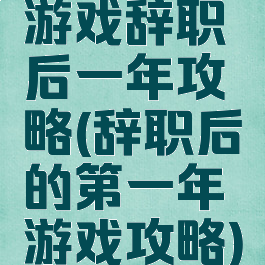 游戏辞职后一年攻略(辞职后的第一年游戏攻略)