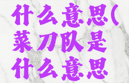菜刀队是什么意思(菜刀队是什么意思哪位领导)