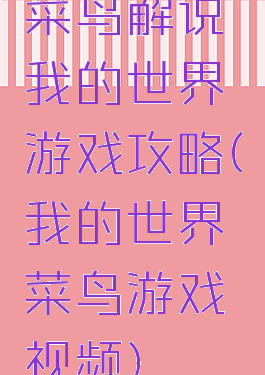 菜鸟解说我的世界游戏攻略(我的世界菜鸟游戏视频)
