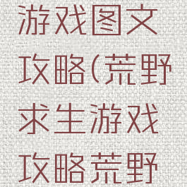 荒野求生游戏图文攻略(荒野求生游戏攻略荒野问答)