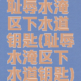 耻辱水淹区下水道钥匙(耻辱水淹区下水道钥匙)