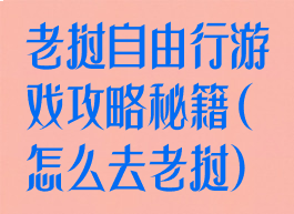 老挝自由行游戏攻略秘籍(怎么去老挝)