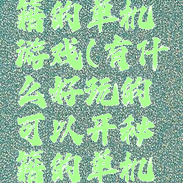 能输入秘籍的单机游戏(有什么好玩的可以开秘籍的单机游戏)