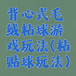背心式毛绒粘球游戏玩法(粘贴球玩法)